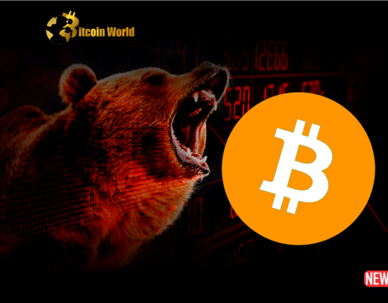 btc bear 2