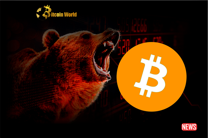 btc bear 2