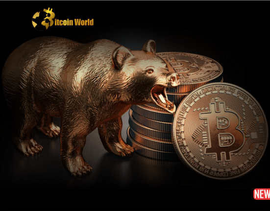 btc bear 3