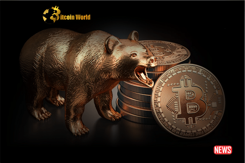 btc bear 3