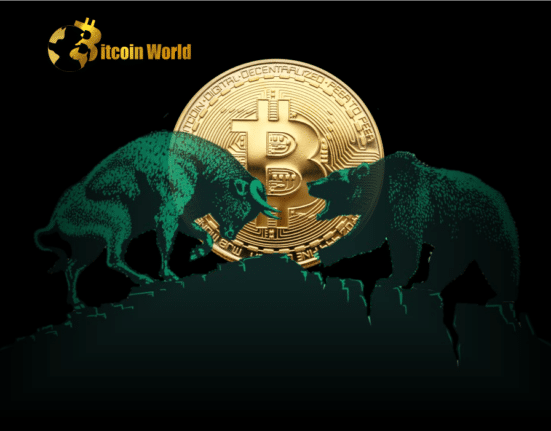 btc bear