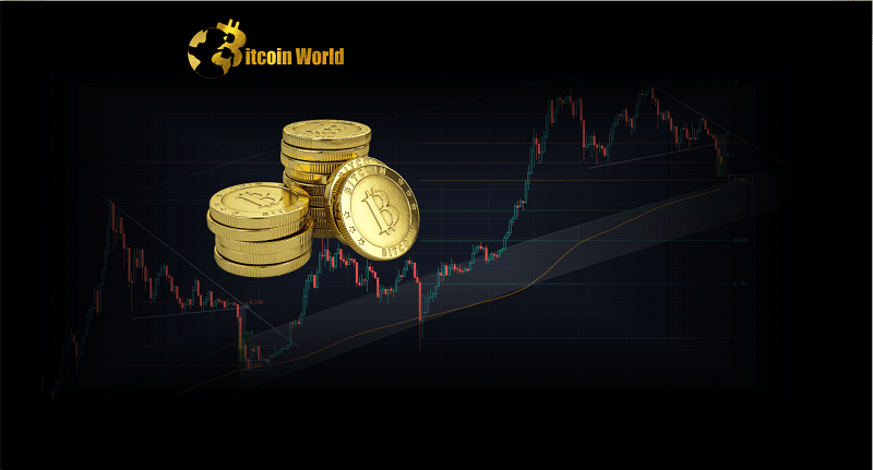 btc bottom 2