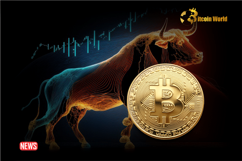 Bitcoin Trades Above $41k – Is This Officially A Bull Run?