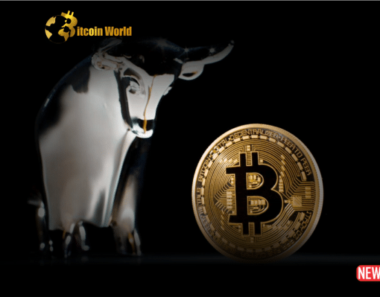 btc bull caution