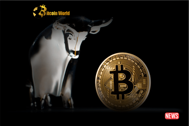 btc bull caution