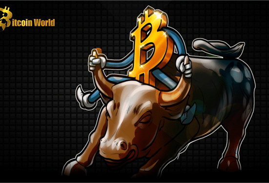 btc bull challenge