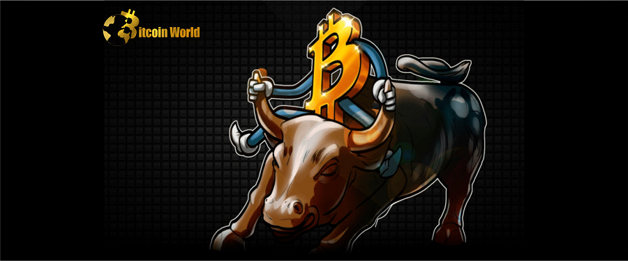 btc bull challenge