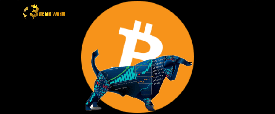 btc bullish 1 1