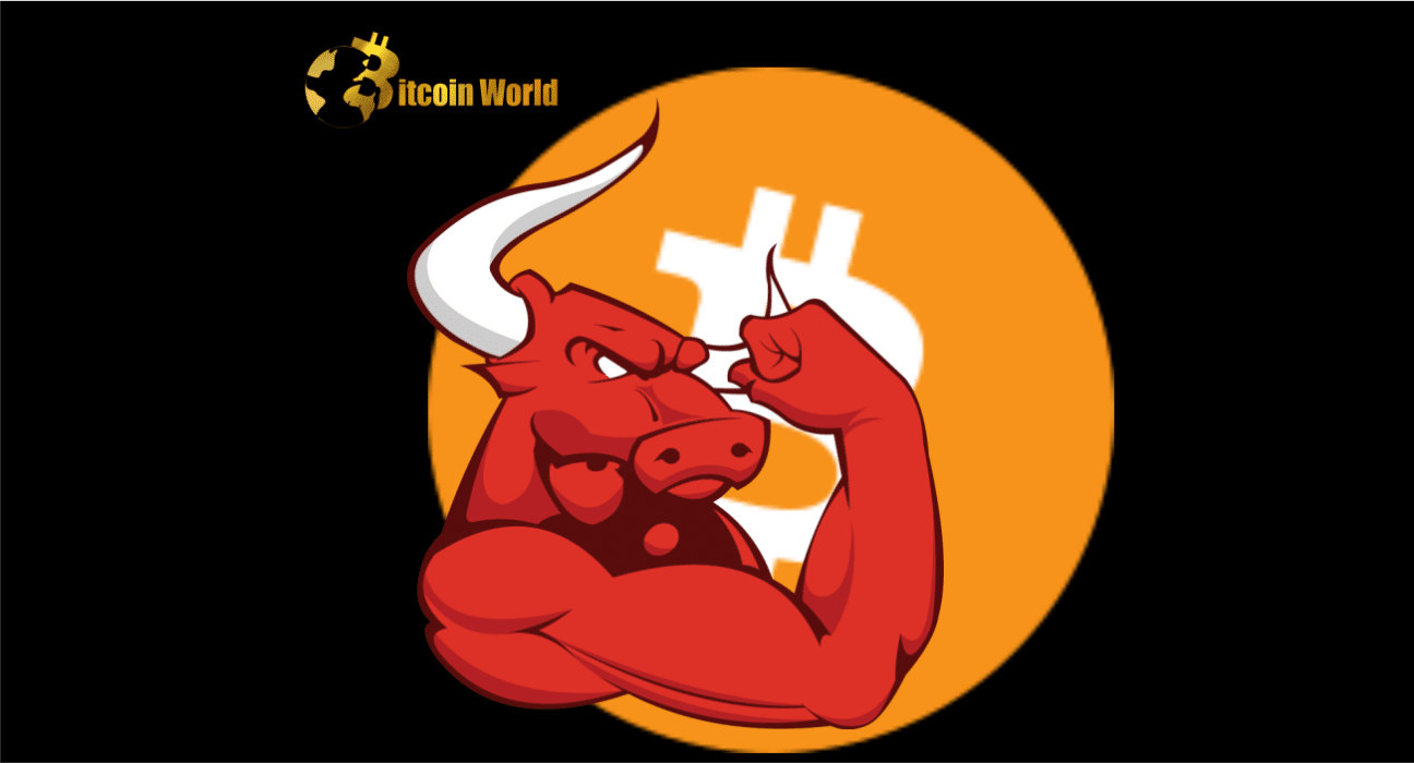 On-chain Indicators Scream Bitcoin Bull Market as the BTC Price Roars Back