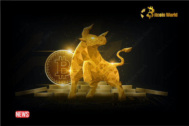 Why Some Traders Are Not Yet Bullish On Bitcoin?