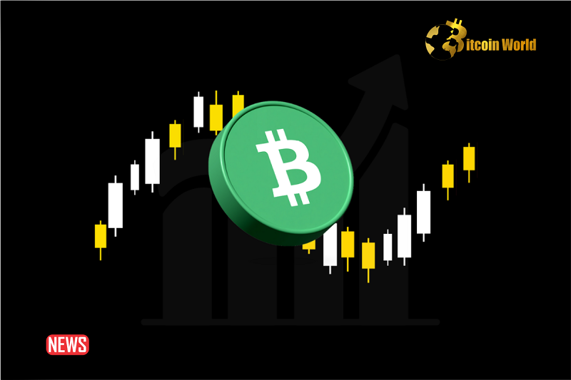 Bitcoin Cash (BCH) Price Nears Critical Resistance