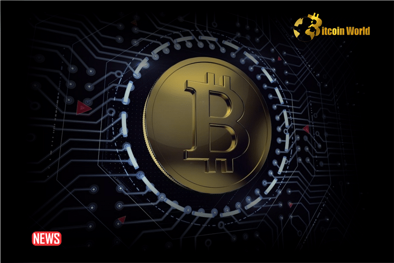 Does The Approval Of The BTC Spot ETFs Make Bitcoin Centralized?
