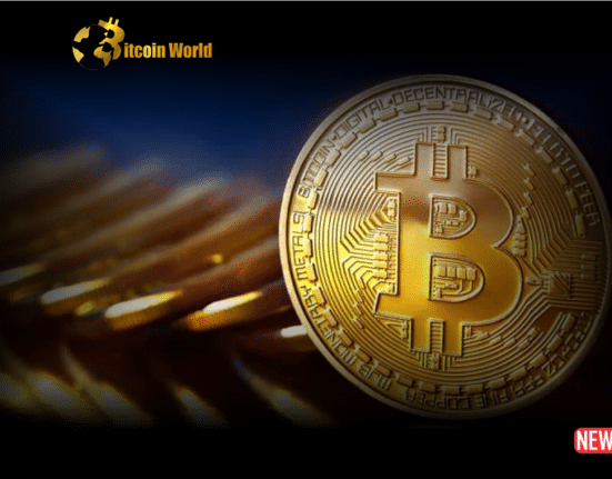 btc challenge