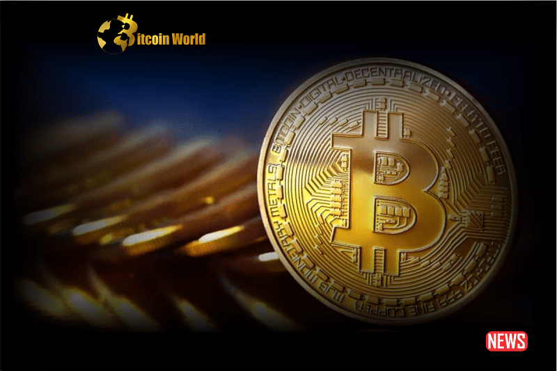 btc challenge