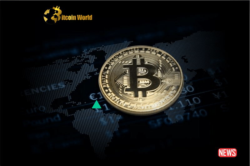 btc collosal rise