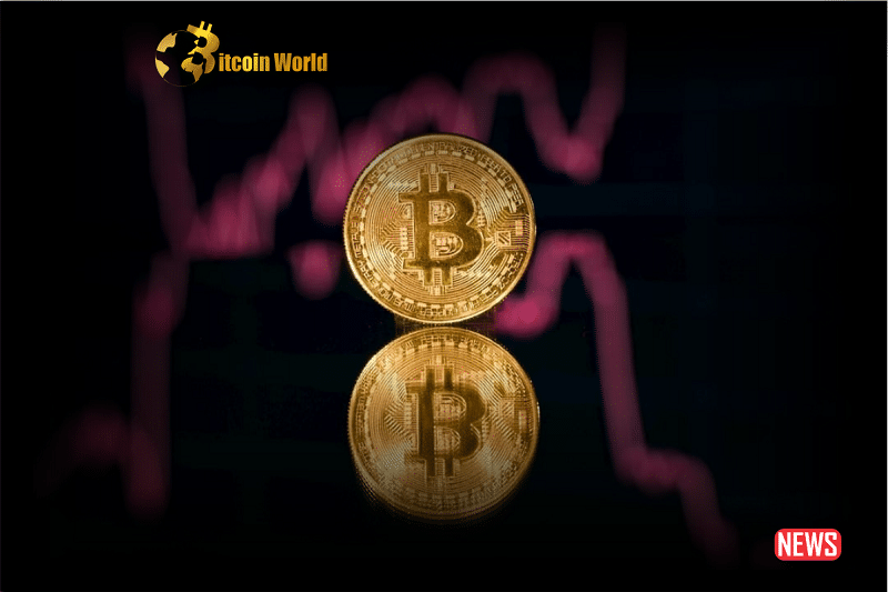 btc correlation