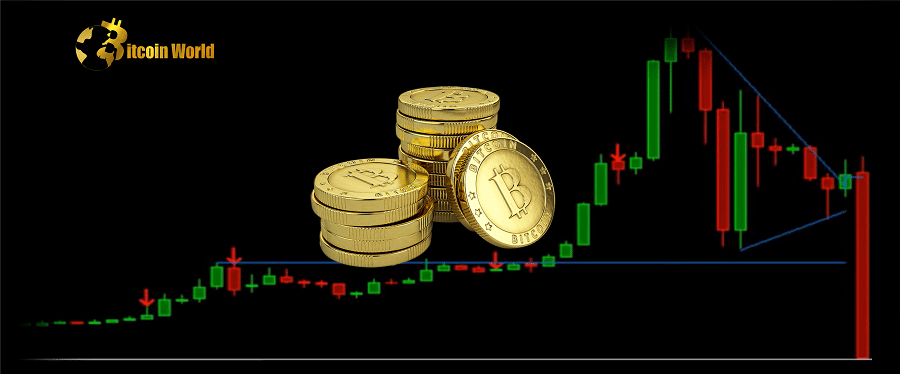 btc crashed