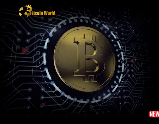 btc decentra