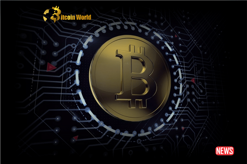 btc decentra