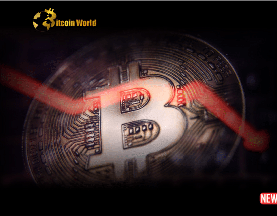 btc decline