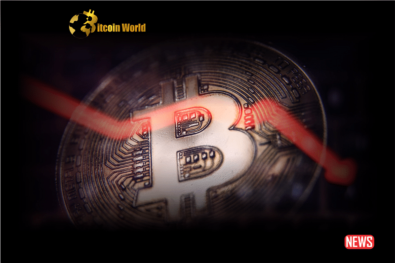 btc decline