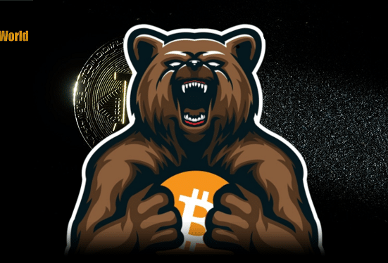 Active Crypto Developers Growing Despite Bear Market: Report