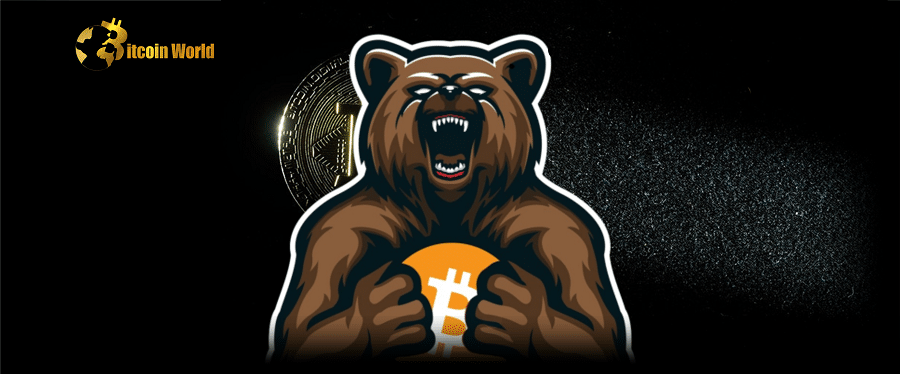 Active Crypto Developers Growing Despite Bear Market: Report
