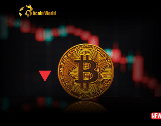 btc dip