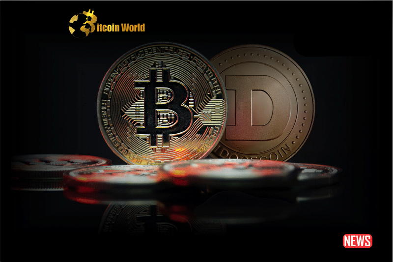 btc doge