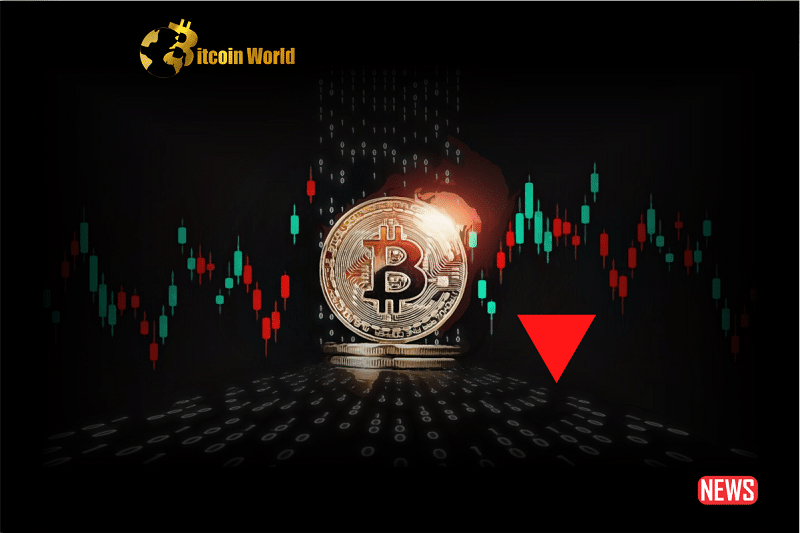 btc down
