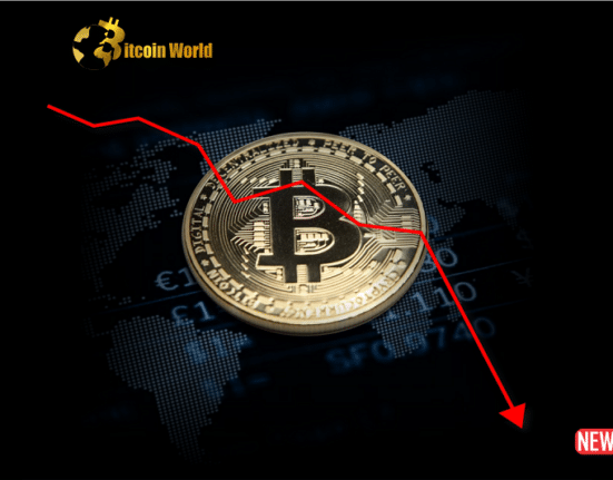 btc drop 1 1
