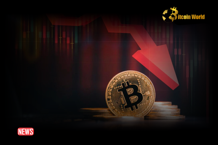 BTC Price Drops Below $67,000: What Is Going On With Bitcoin, Ethereum ETFs?