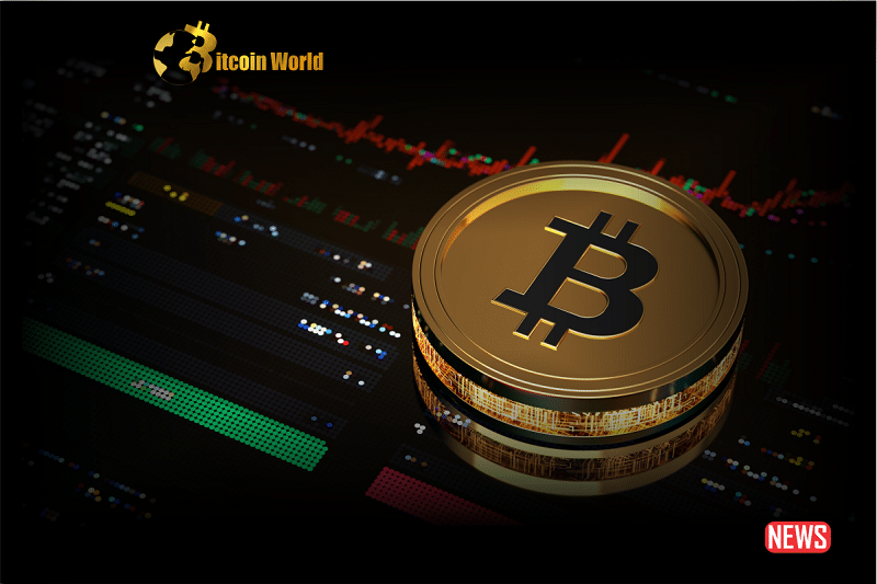 btc eye