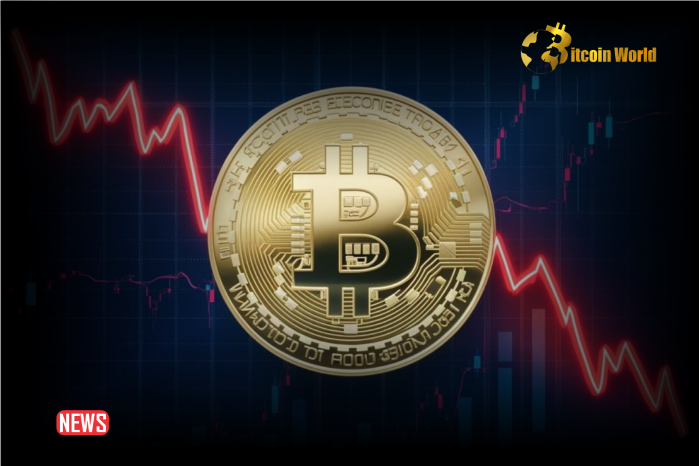 Bitcoin Price Decline Continues: Lower Targets In Sight