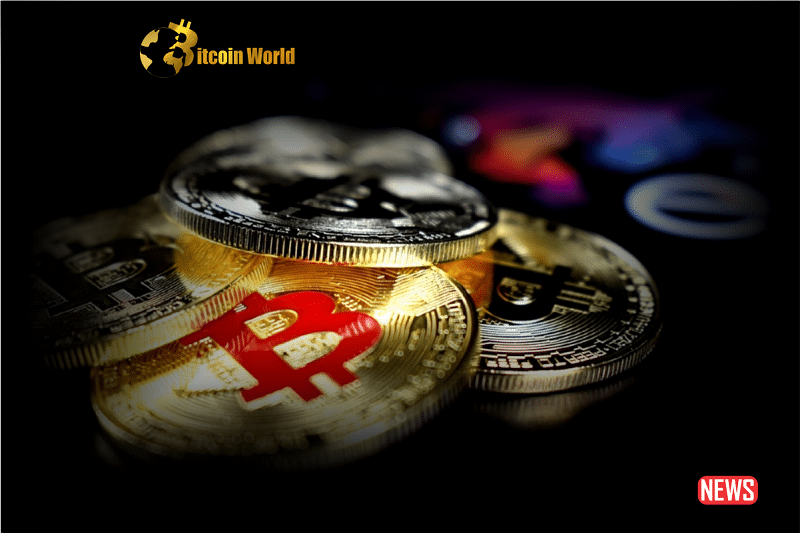btc fat finger