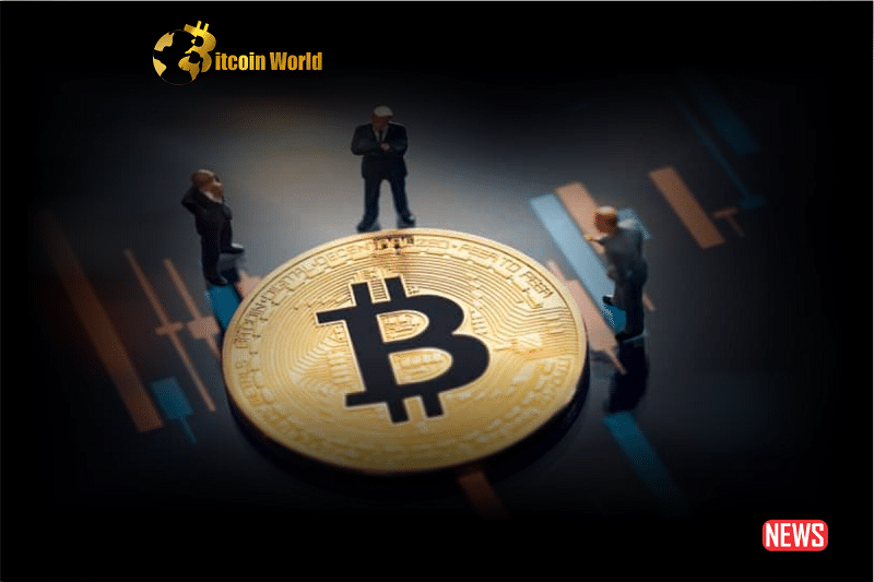 btc flirt