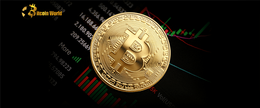 btc funda