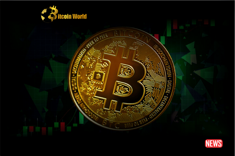 btc giga pump
