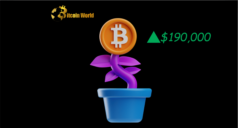 btc growth