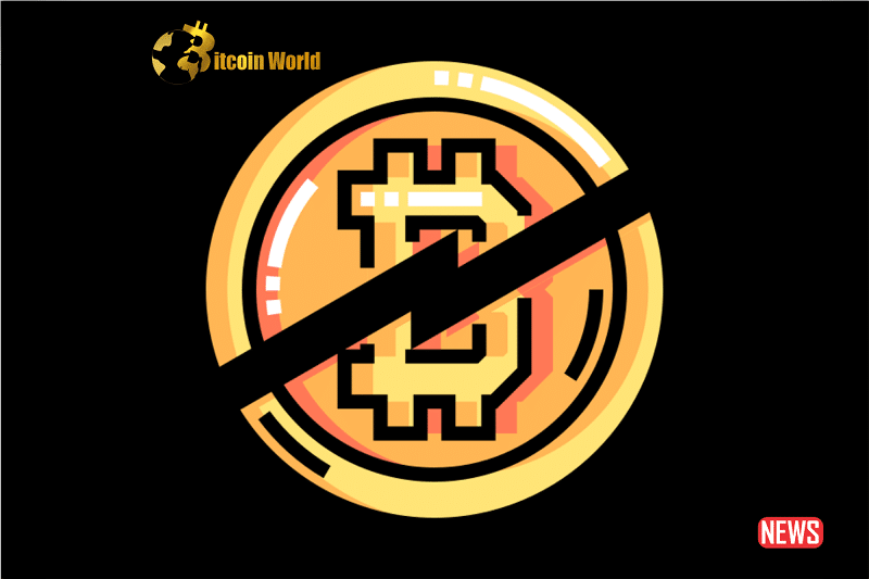 btc halfing