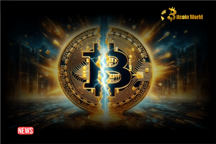 This Is How Bitcoin Halving Will Reshape Crypto Markets: Tether Co-Founder William Quigley