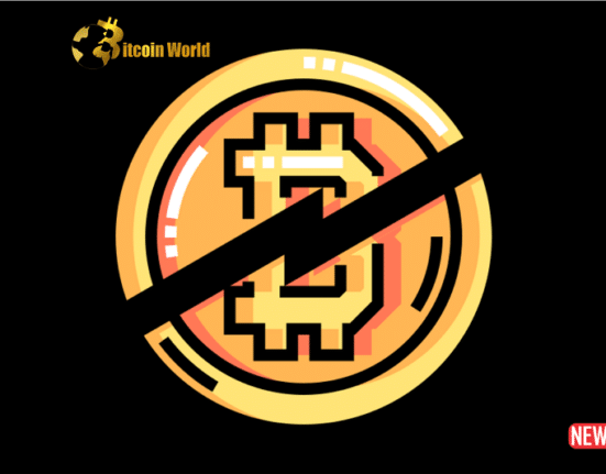 btc halving 1 2