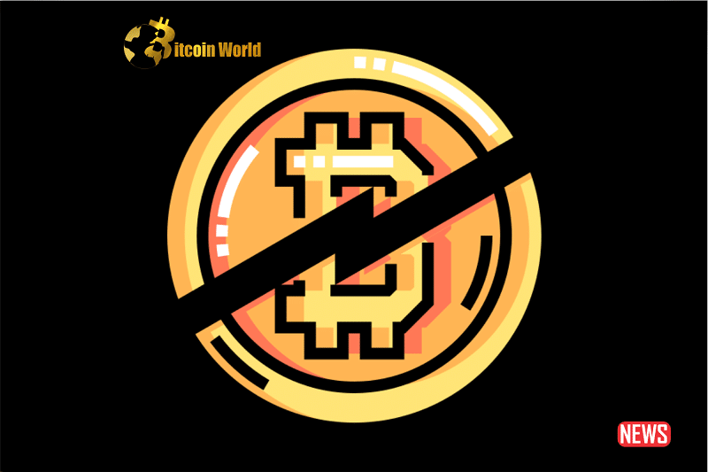 btc halving 1 2