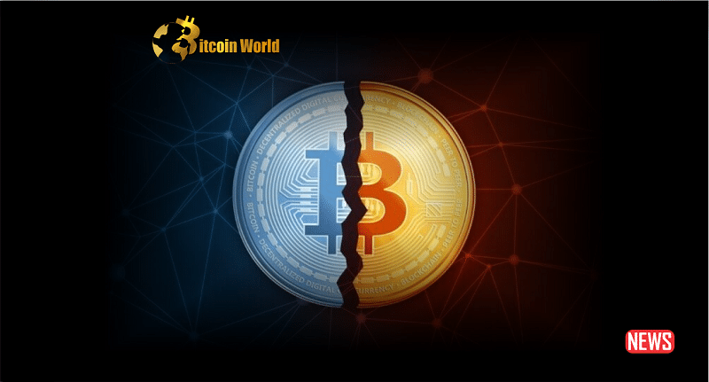 btc halving 1