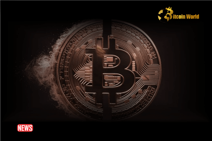 Bitcoin Completes Its Fourth Halving, Block Rewards Now Stand At 3.125 BTC