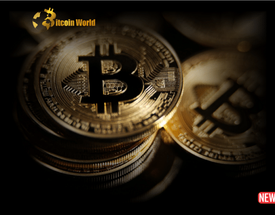 btc hold 1