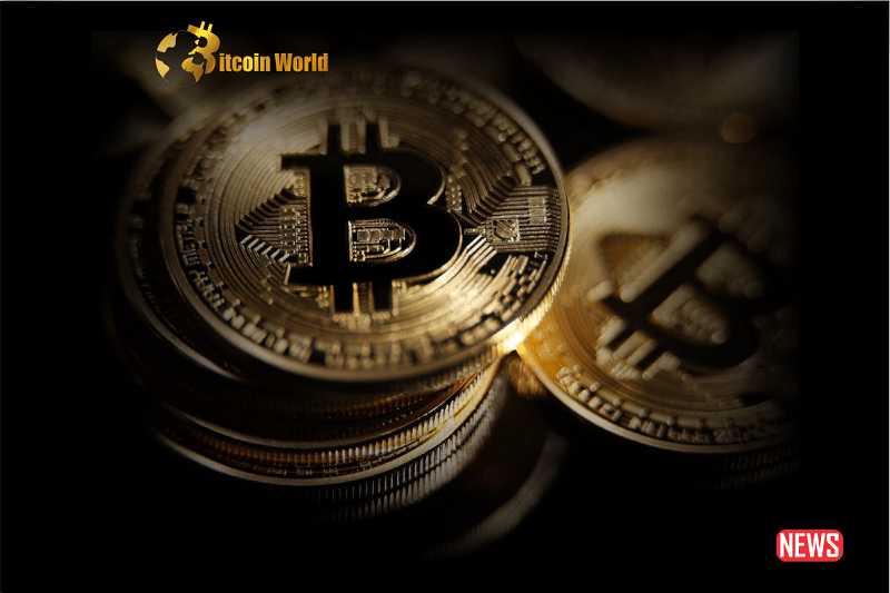 btc hold 1