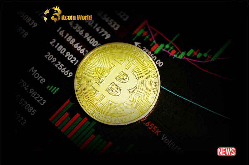 btc hold
