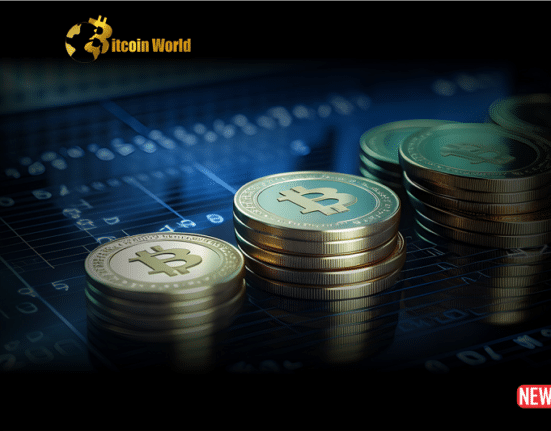 btc holder 1 1