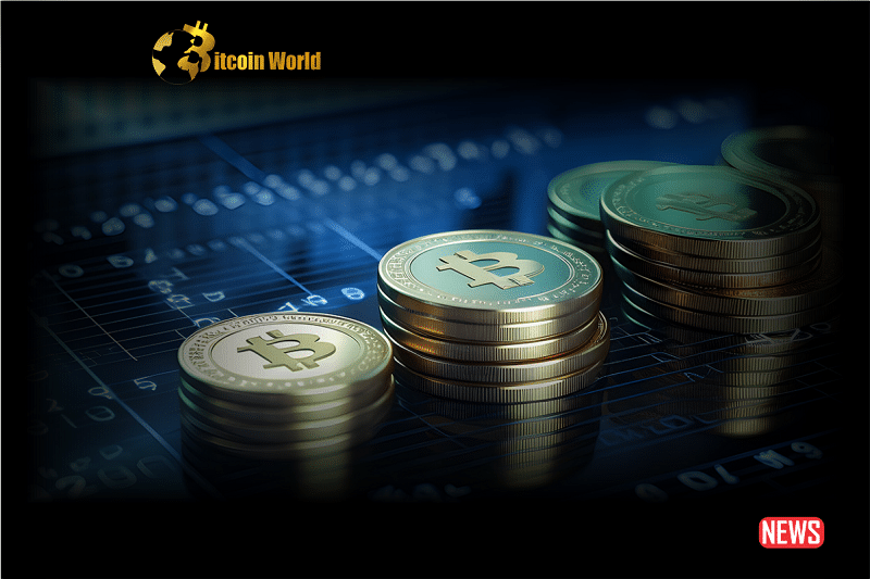 btc holder 1 1